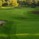 Illustration for article titled Golf Club Apologizes After Calling Police On Group Of Black Women Members
